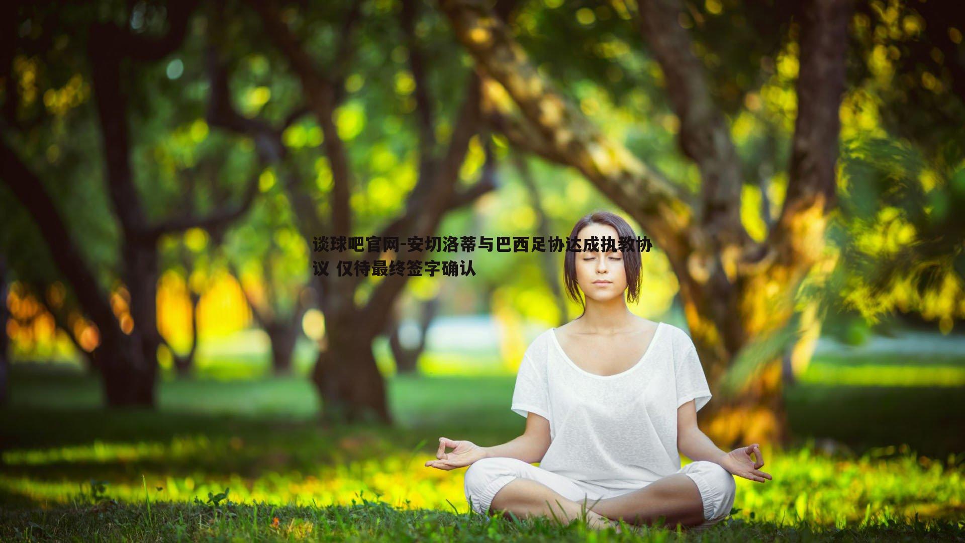 安切洛蒂与巴西足协达成执教协议 仅待最终签字确认